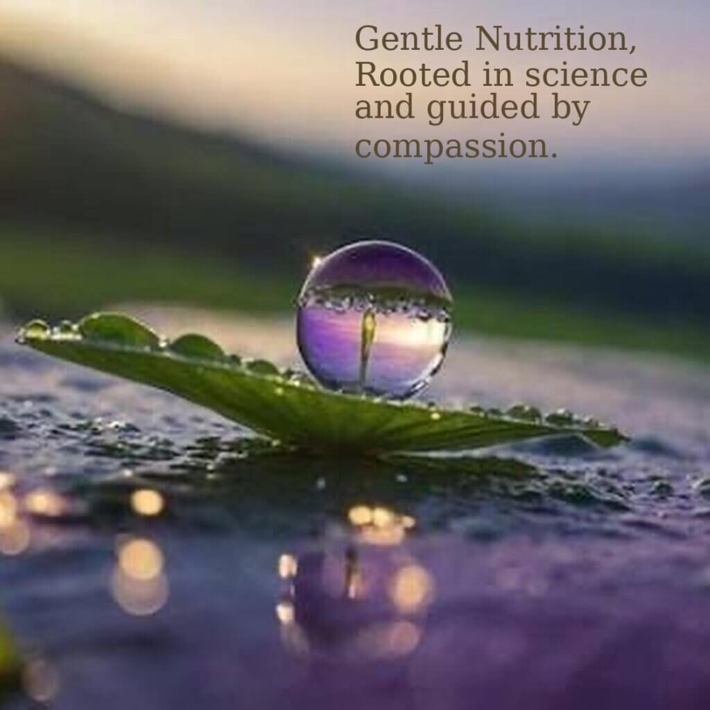 09068AC6-65E0-401D-B091-756511454940_1_102_o